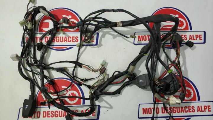 Instalación eléctrica Peugeot Satelis